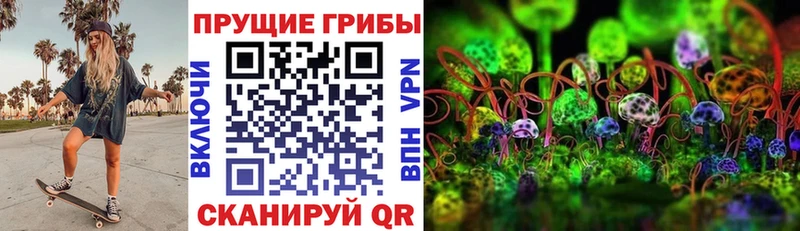 Псилоцибиновые грибы мицелий  Купить где  Белинский 